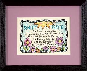 Senility Prayer Stamped Cross Stitch kit