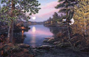 Northern Twilight Jigsaw Puzzle By Sunsout - 1000 Pieces *Last One*
