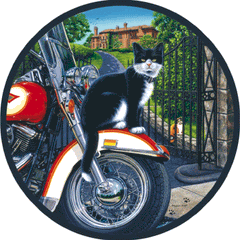 Cool Cat Jigsaw Puzzle By Sunsout - 500 Pieces *Last One*