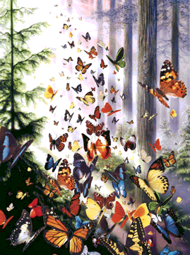 Butterfly Woods Jigsaw Puzzle By Sunsout - 1000 Pieces *Last One*