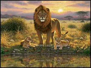 Lions Pride lion Jigsaw Puzzle by Sunsout 1000 piece *Last One*