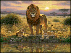 Lions Pride lion Jigsaw Puzzle by Sunsout 1000 piece *Last One*