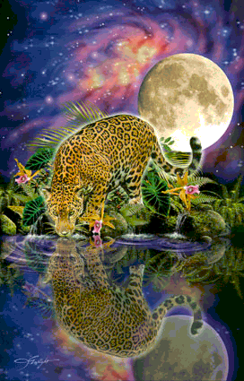 Reflection Jigsaw Puzzle By Sunsout - 1000 Pieces *Last One*