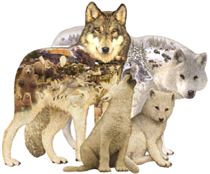 Wolf Song Jigsaw Puzzle By Sunsout - 1000 Pieces *Last One*