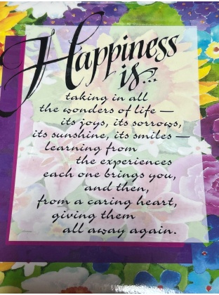 Happiness Wall Hang