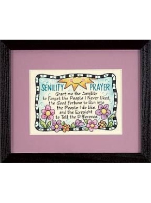 Senility Prayer Stamped CrossStitch kit