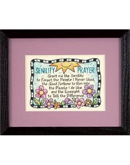 Senility Prayer Stamped CrossStitch kit