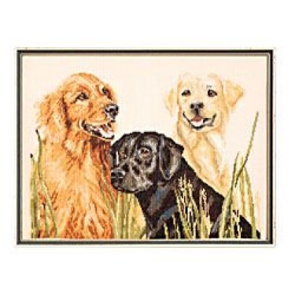 Retrievers Counted CrossStitch Kit 16x12 14 Count