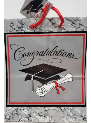 Paper Art Congratulations Graduation Gift Bags