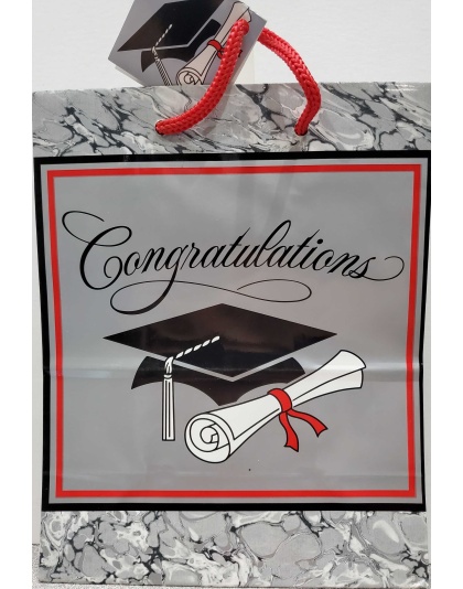 Paper Art Congratulations Graduation Gift Bags