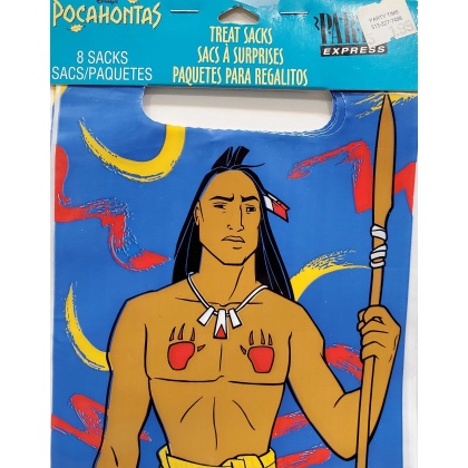 Party Express Pocahontas Themed Treat Sacks