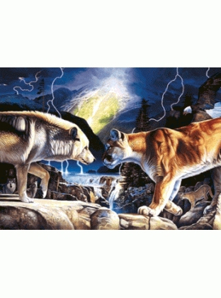 Face to Face Jigsaw Puzzle by Sunsout - 1000 piece *Last One*