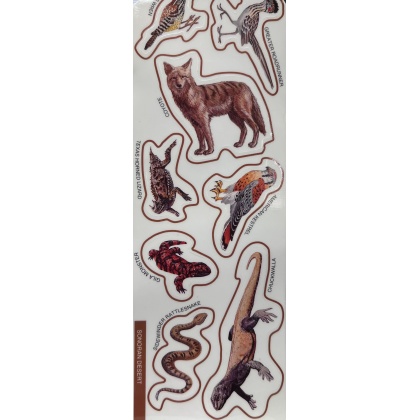 Sonoran Desert sticker sheet