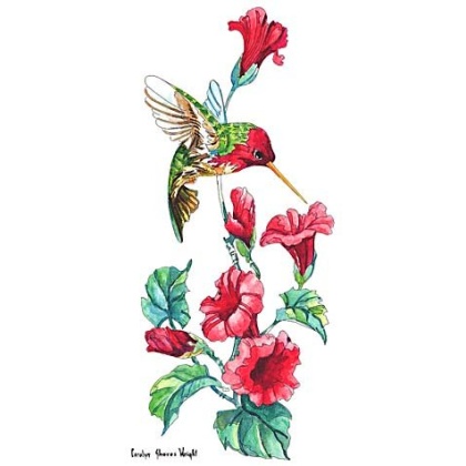 Annas Hummingbird stamp for scrapbook or stamping