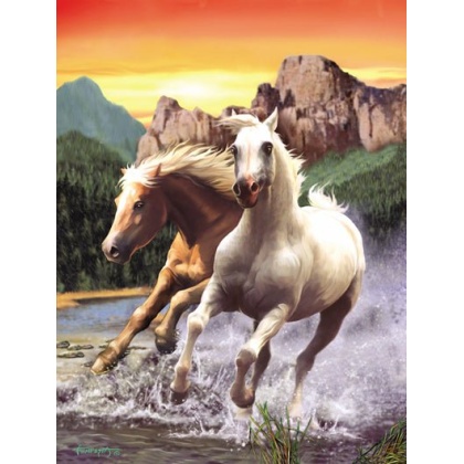 A Run on the Beach Puzzle By Sunsout - 500 Pieces *Last One*