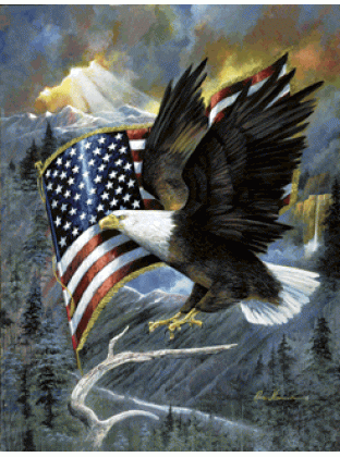 American Eagle Jigsaw Puzzle By Sunsout - 500 Pieces