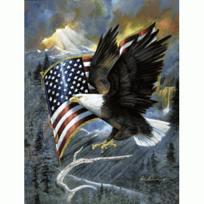 American Eagle Jigsaw Puzzle By Sunsout - 500 Pieces