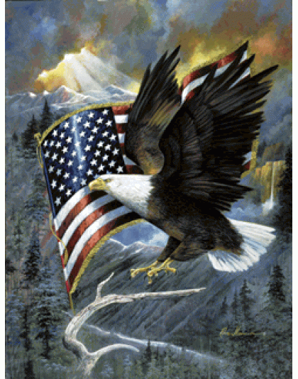 American Eagle Jigsaw Puzzle By Sunsout - 500 Pieces