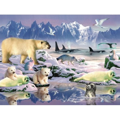 Arctic jigsaw puzzle by Sunsout - 500 piece *Last one*