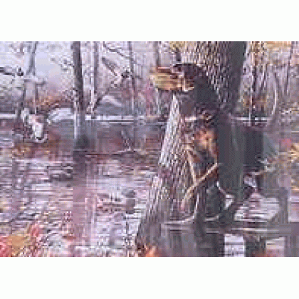 Bayou DeView Jigsaw Puzzle by Sunsout - 1000 piece *Last One*