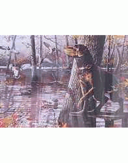 Bayou DeView Jigsaw Puzzle by Sunsout - 1000 piece *Last One*