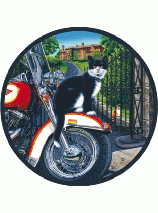 Cool Cat Jigsaw Puzzle By Sunsout - 500 Pieces *Last One*