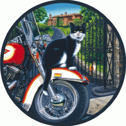 Cool Cat Jigsaw Puzzle By Sunsout - 500 Pieces *Last One*