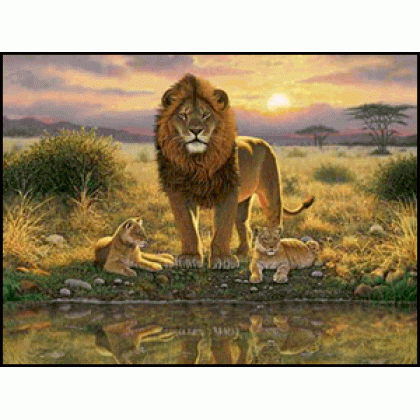 Lions Pride lion Jigsaw Puzzle by Sunsout 1000 piece *Last One*