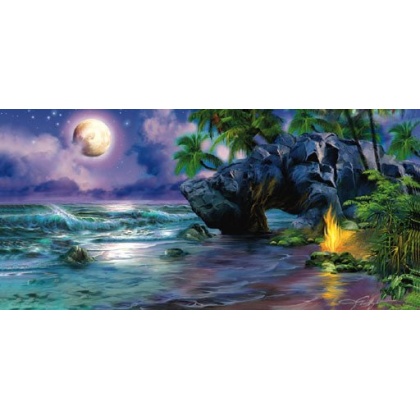 Moonlight Rendeguous Puzzle By Sunsout - 1000 Pieces *Last One*