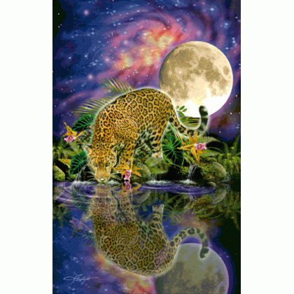 Reflection Jigsaw Puzzle By Sunsout - 1000 Pieces *Last One*