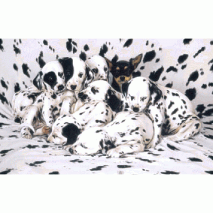 Where's Ricardo Jigsaw Puzzle By Sunsout - 1000 Piece *LAST ONE*