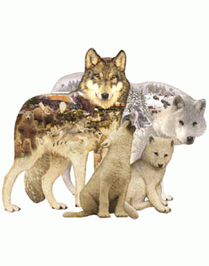 Wolf Song Jigsaw Puzzle By Sunsout - 1000 Pieces *Last One*